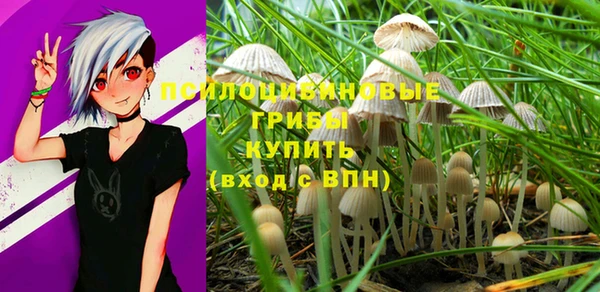 хмурый Балабаново