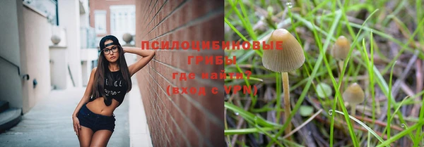 мет Балахна