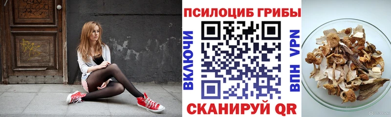 мориарти клад Новоржев Псилоцибиновые грибы Psilocybe сколько стоит MEGA